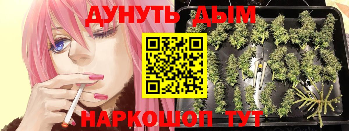 Канабис планчик  Бошки Шишки индика  Марихуана SATIVA & INDICA  Нижневартовск  Вход с VPN 